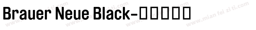 Brauer Neue Black字体转换